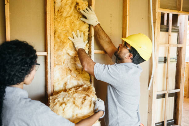 Best Insulation Removal  in Lmerton, PA