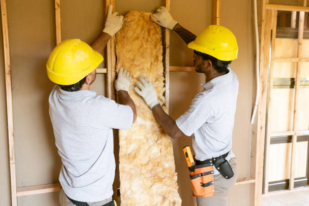 Best Crawl Space Insulation  in Lmerton, PA